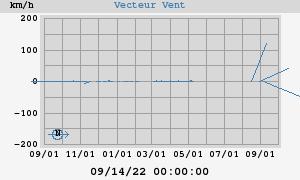 Wind Vector